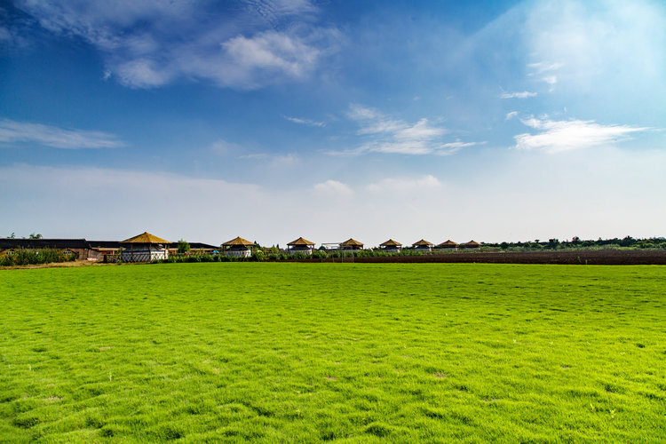 牧業(yè)小鎮(zhèn)